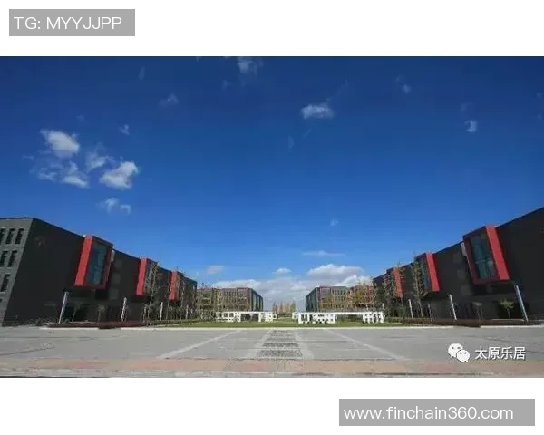 太原市足球场建设现状与未来发展展望分析